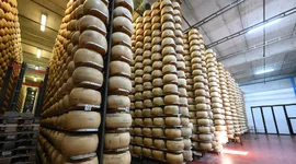 Gồng mình chống đỡ cú sốc từ chính sách thuế quan của Mỹ, kinh tế EU lao đao
