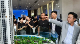 Cổ phiếu Quốc Cường Gia Lai (QCG) được nhà đầu tư “gom” ồ ạt trở lại