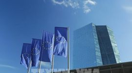 ECB thận trọng trước ngã rẽ chính sách
