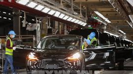 Doanh số xe Tesla năm 2025 giảm gần 40% tại EU