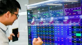 Chứng khoán dự báo có "sóng Tết", chuyên gia chỉ ra những nhóm cổ phiếu thường hút mạnh dòng tiền