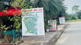 Bảng giá đất TP. Hồ Chí Minh theo tờ trình mới nhất