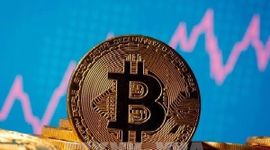Nguy cơ nhà đầu tư phá sản khi giá bitcoin lao dốc