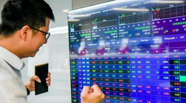 "Đón sóng" kết quả kinh doanh quý 4, nhóm cổ phiếu nào kỳ vọng thu hút dòng tiền?