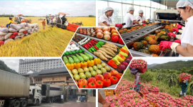 Tổng kim ngạch xuất khẩu nông, lâm, thủy sản ước đạt 70,09 tỷ USD