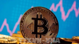 Sự sụp đổ của các "kho bạc tài sản kỹ thuật số"