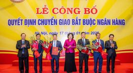 VIS Rating: Rủi ro tài sản có thể tăng tại các ngân hàng nhận chuyển giao bắt buộc