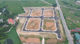 Giá trúng đất đấu giảm đến 37% sau 5 tháng tại huyện Phúc Thọ (Hà Nội)