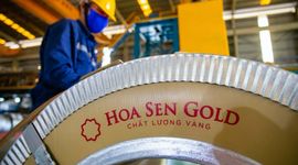Hoa Sen Group đặt mục tiêu lãi 400 - 500 tỷ đồng, dự kiến mua lại 50 - 100 triệu cổ phiếu quỹ