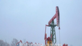 Dự trữ tăng, “vàng đen” rớt giá