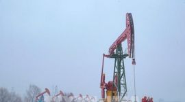 Dự trữ tăng, “vàng đen” rớt giá