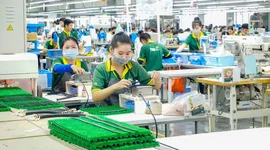 Gần 22.800 doanh nghiệp quay trở lại hoạt động trong tháng 1/2025