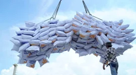 Thu hẹp khoảng cách với gạo Thái Lan và Ấn Độ, giá gạo Việt Nam trên đà phục hồi?
