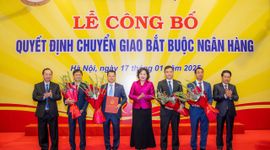 Ngân hàng nhận chuyển giao bắt buộc sẽ được nới room ngoại lên 49%