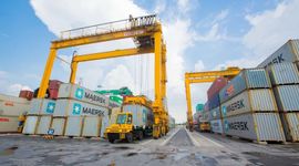 Viconship đặt kế hoạch lợi nhuận năm 2025 "đi lùi" 42%, chia cổ tức tỷ lệ 10%