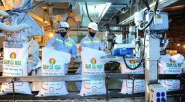 Cơ hội "bứt tốc" cho Đạm Cà Mau trước hàng loạt lực đẩy mới