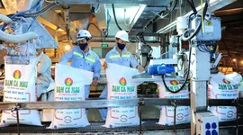 Cơ hội "bứt tốc" cho Đạm Cà Mau trước hàng loạt lực đẩy mới