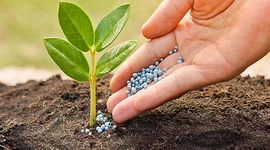 Doanh nghiệp phân bón dè dặt với kế hoạch 2025