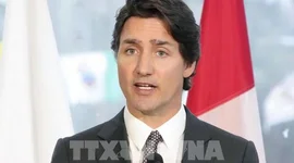 Mexico và Canada đáp trả việc Mỹ áp thuế nhập khẩu 25%