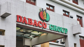 Giá lợn hơi neo cao, Dabaco báo lãi quý I/2025 đạt kỷ lục