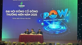 ĐHĐCĐ PV Power: Nhơn Trạch 3&4 có lãi từ năm 2027, mảng trạm sạc dự kiến đóng góp doanh thu không nhỏ