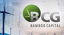 Loạt cổ phiếu trong hệ sinh thái của ông Nguyễn Hồ Nam "có biến"