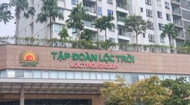 Lộc Trời đối mặt nguy cơ lỗ hơn 500 tỷ đồng, cổ phiếu tiếp tục bị hạn chế giao dịch