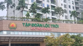 Lộc Trời đối mặt nguy cơ lỗ hơn 500 tỷ đồng, cổ phiếu tiếp tục bị hạn chế giao dịch