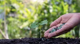 Căng thẳng tại Trung Đông tác động thế nào đến doanh nghiệp phân bón Việt Nam?