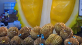 Lô sầu riêng đông lạnh đầu tiên của Việt Nam được xuất khẩu sang Trung Quốc