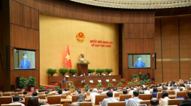 Miễn thuế sử dụng đất nông nghiệp tới hết 2030