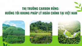 Thị trường carbon rừng: Hướng tới khung pháp lý hoàn chỉnh tại Việt Nam