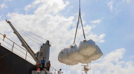 Thị trường nông sản: Giá gạo Việt Nam ổn định