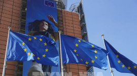 EU đứng trước lựa chọn "đắng" trong thỏa thuận thương mại với Mỹ