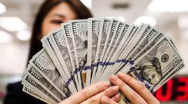 Tỷ giá USD/VND tạm ngưng đà tăng