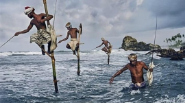 Phiên 23/7: Khối ngoại trở lại mua ròng, "tung" hơn 500 tỷ gom FRT và một cổ phiếu ngân hàng