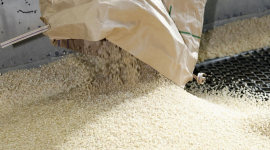 Nguồn cung dư thừa, giá gạo thế giới rơi về mức đáy 8 năm