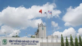 Sau lùm xùm heo bệnh, đại gia Thái Lan C.P. vẫn tăng trưởng doanh thu bán thực phẩm, kiếm tổng cộng 43.000 tỷ ở Việt Nam nửa đầu năm 2025