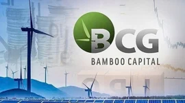 Cổ phiếu “họ” Bamboo Capital bất ngờ được nhà đầu tư “gom” đột biến, đồng loạt tăng “bốc đầu”