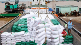 Thị trường Philippines mở lại, gạo Việt Nam đón cơ hội phục hồi xuất khẩu