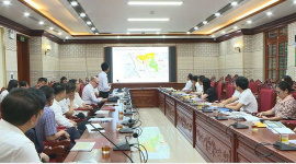 T&T muốn làm hai khu đô thị lớn ở ngoại thành Hà Nội