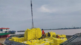 Xuất khẩu gạo cần chủ động đón cơ hội cuối năm