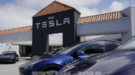 BYD và Tesla có thể bị thiệt hại nặng nhất do chính sách thuế mới của Mexico