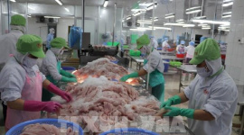 EU ban hành quy định mới về hàm lượng Asen trong cá, thủy sản nhập khẩu