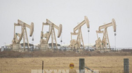 Thị trường dầu mỏ "kháng cự" áp lực từ việc Mỹ giảm lãi suất