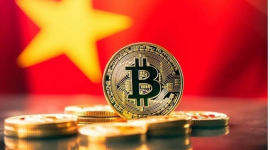 Người Việt giao dịch hơn 600 triệu USD tiền số mỗi ngày, lọt top 3 toàn cầu