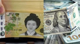 Quan chức Hàn Quốc: Thỏa thuận hoán đổi tiền tệ với Mỹ là điều không dễ dàng
