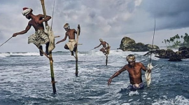 Khối ngoại "tranh thủ" gom gần 1.000 tỷ đồng cổ phiếu khi VN-Index giảm sâu, đâu là tâm điểm?