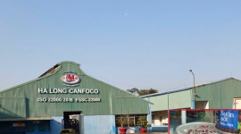 Nóng: Bắt khẩn cấp Tổng Giám đốc Đồ hộp Hạ Long