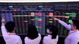 Chuyên gia đánh giá tác động của Nghị quyết 79 đến thị trường chứng khoán và danh mục cổ phiếu hưởng lợi